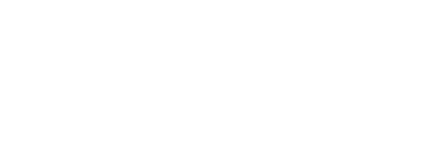Professional Computer Institute